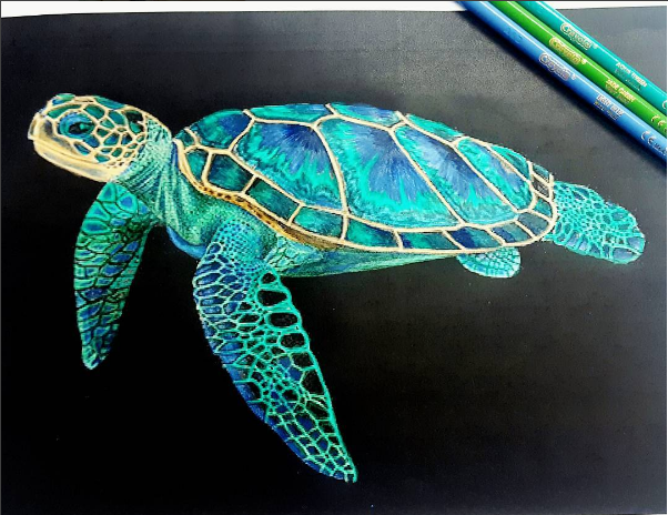 Realistic Turtle Drawing at GetDrawings | Free download