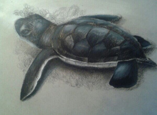 320x235 Thedarkchild's Profile Page