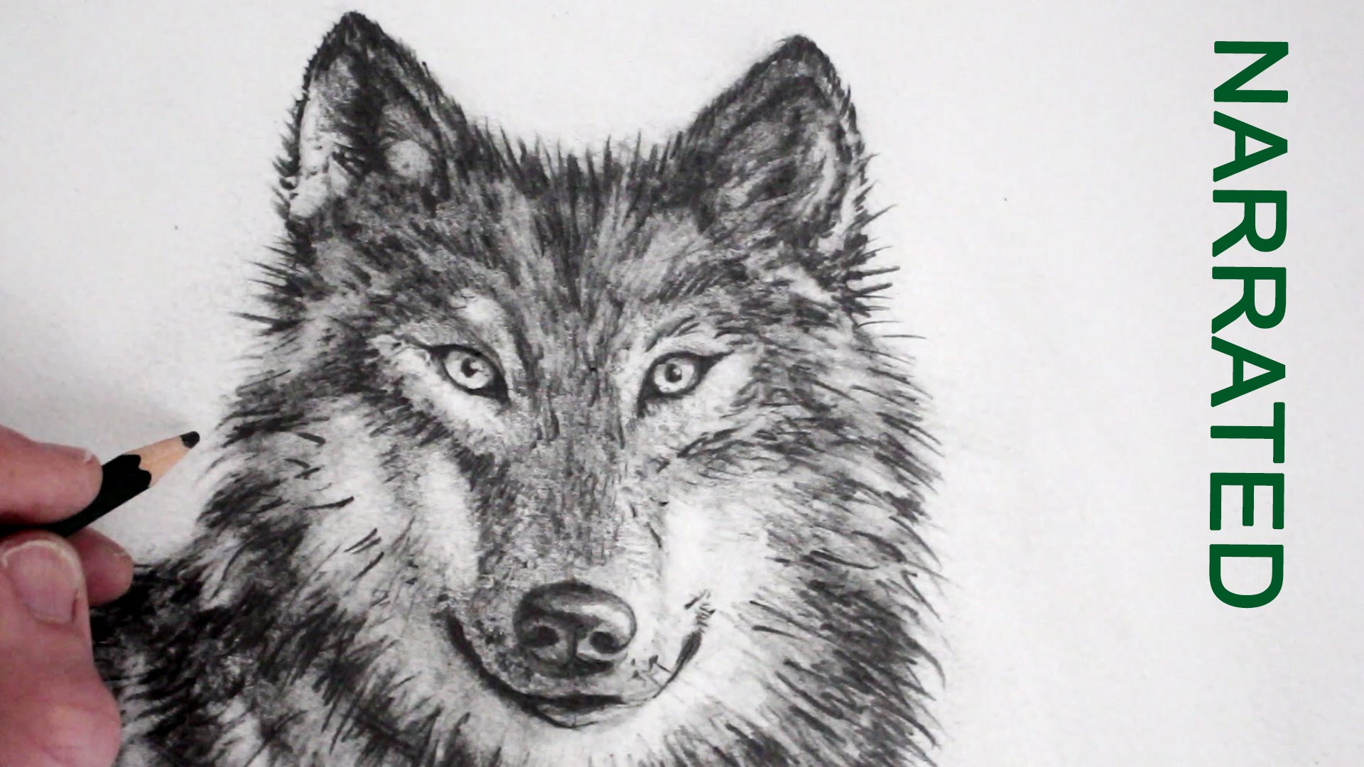1920x1080 Realistic Wolf Drawing