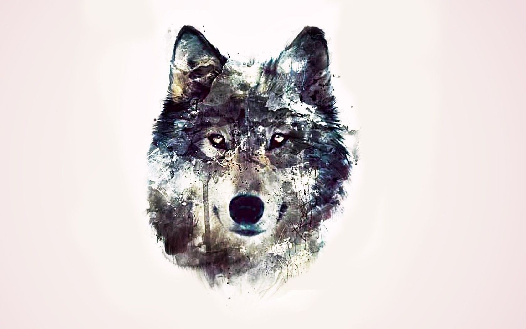 1680x1050 Wolf Drawing Realistic Wolf Drawing Chainimage