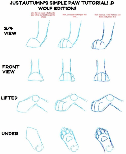 500x608 How To Draw Realistic Wolf Paws! D On We Heart It