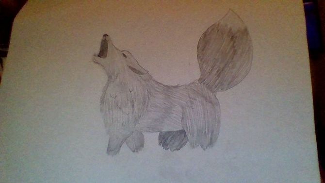 670x377 How To Draw A Realistic Wolf (With Pictures)