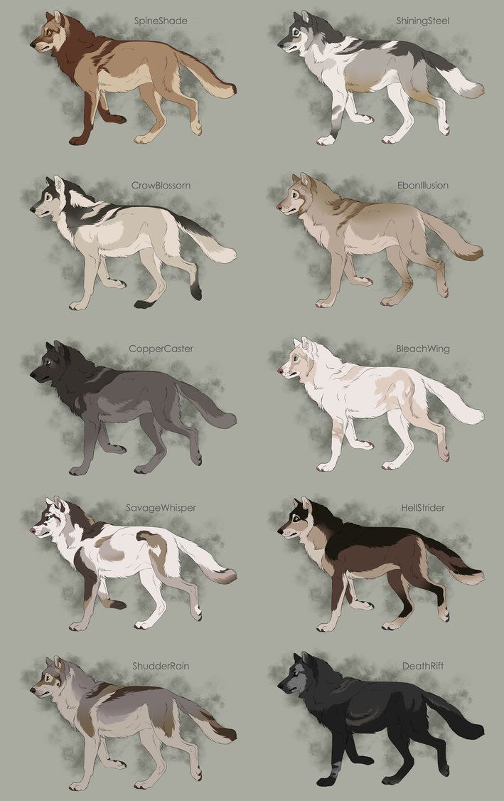 709x1126 Semi Realistic Wolf Adoptables Set 7
