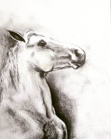 375x468 Rearing Horse Drawings For Sale Saatchi Art