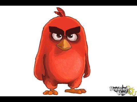 480x360 How To Draw Red From The Angry Birds Movie