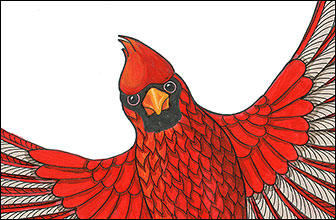 336x220 Kim Russell Original Drawings Ink And Acrylic Drawings Bird