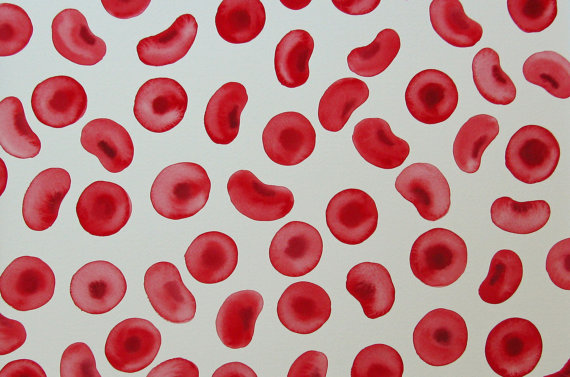 570x377 Big Red Blood Cells