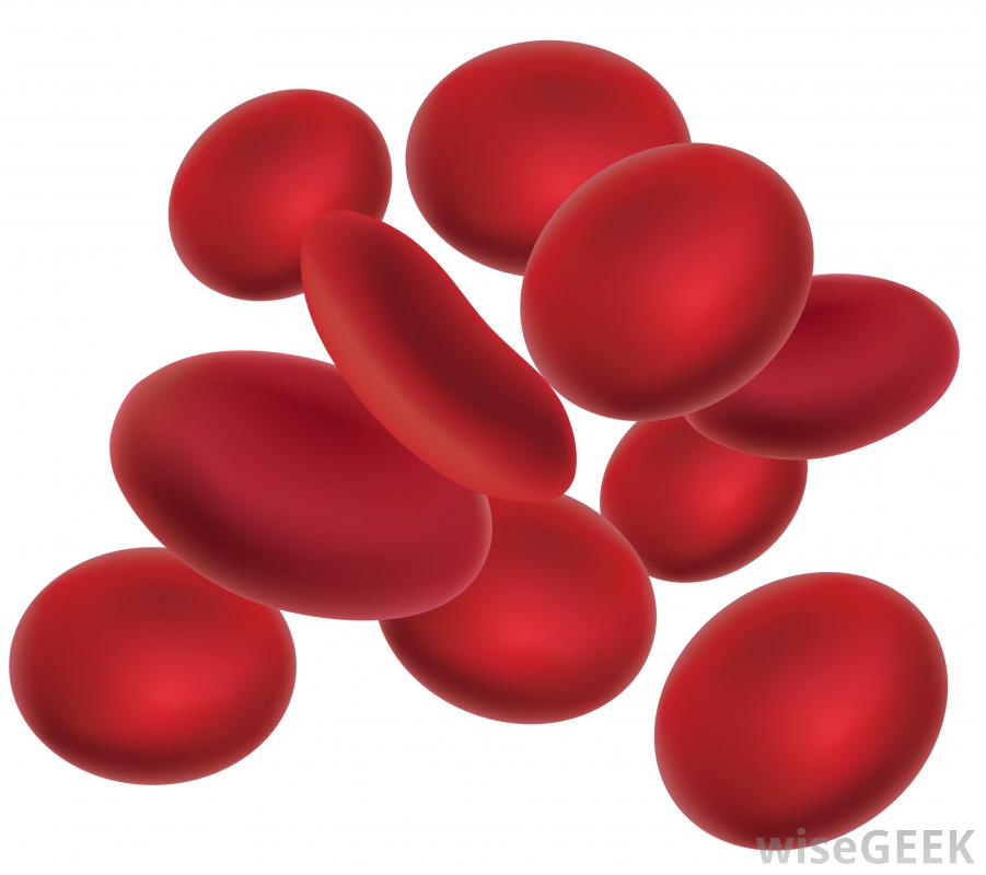 red-blood-cells-drawing-at-getdrawings-free-download