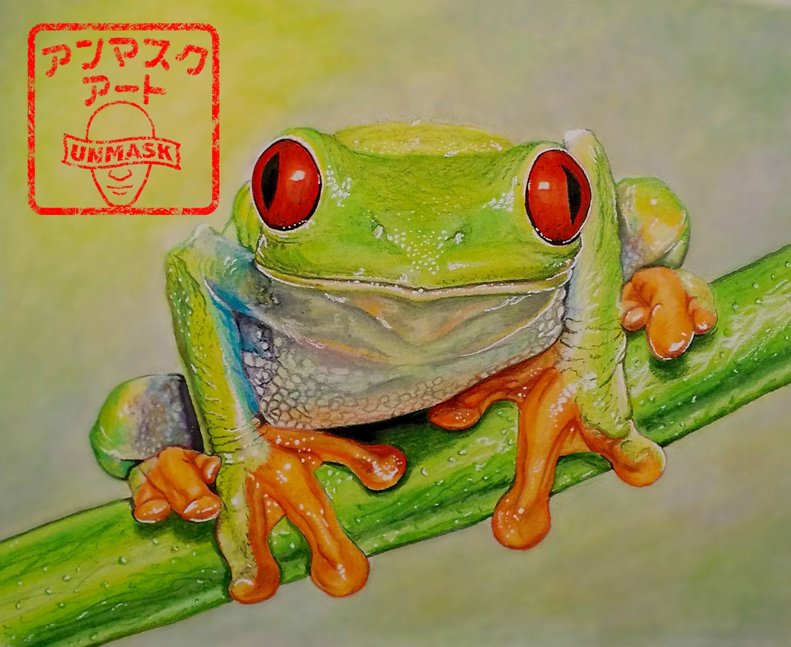 1601x1309 Drawing Of Red Eyed Tree Frog