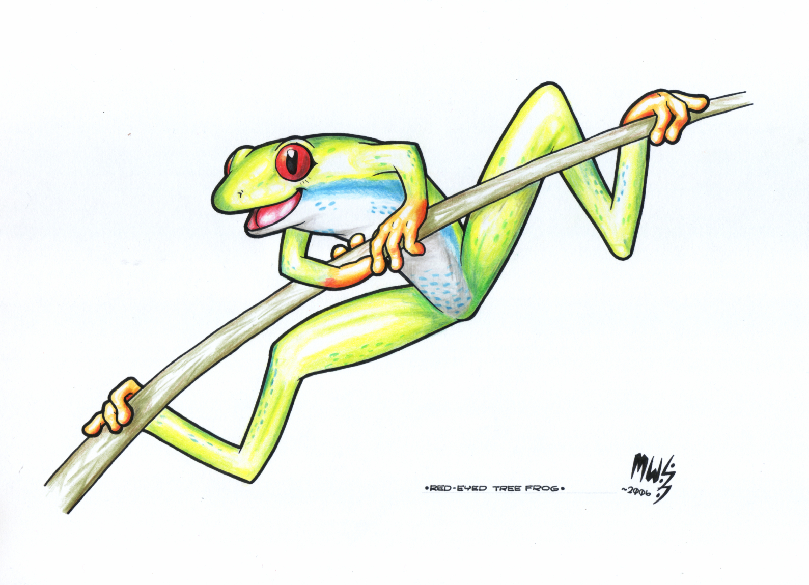 1589x1149 Red Eyed Tree Frog Drawing Red Eyed Tree Frog Unfinished By