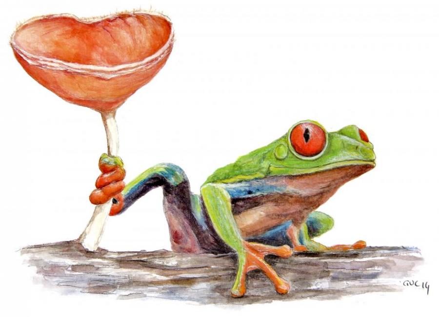 900x651 Red Eyed Tree Frog Amp Fungi Animals. Drawings. Pictures. Drawings