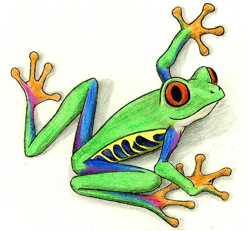 500x465 Tree Frog Cartoon Tree Frogs, Frogs And Tattoo
