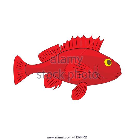520x540 Red Fish Cartoon Stock Photos Amp Red Fish Cartoon Stock Images