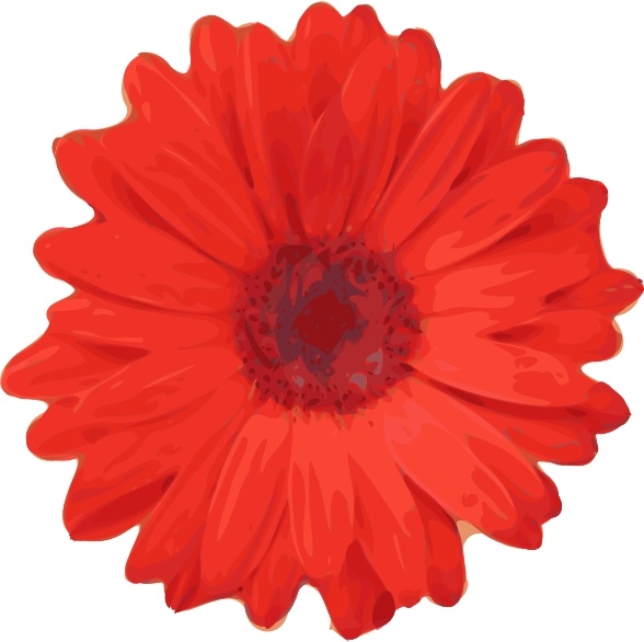 588x586 Red Flower Pedals Clip Art Free Vector In Open Office Drawing Svg