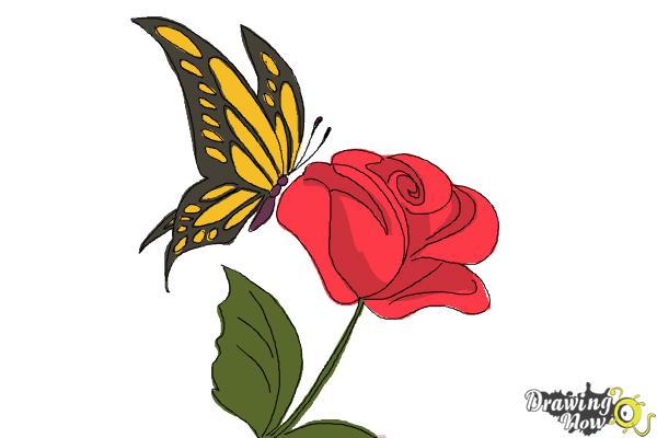 600x400 How To Draw A Butterfly On A Flower