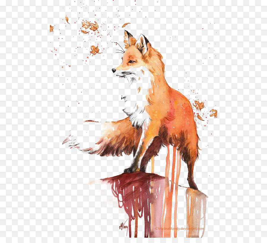 900x820 Watercolor Painting Red Fox Drawing
