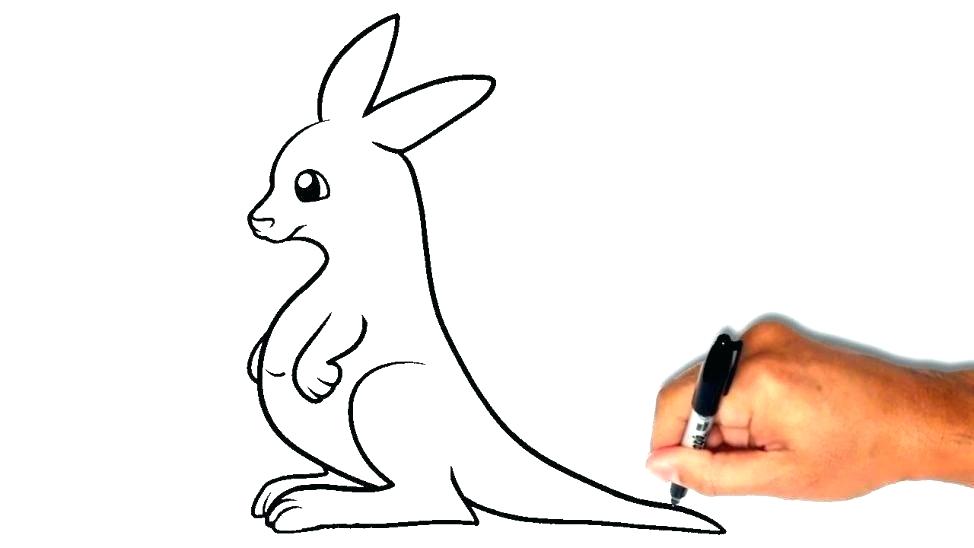 974x548 Kangaroo Picture To Color Sendflare.co