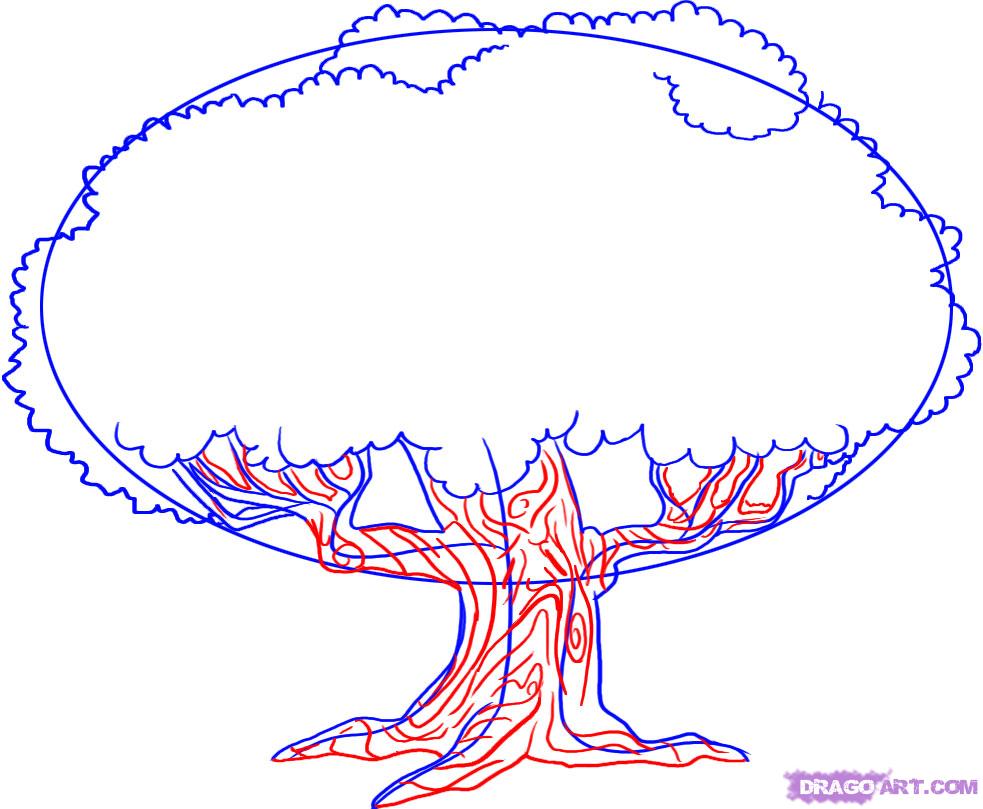 983x809 How To Draw An Oak Tree Step 3 1 000000007633 5.jpg Pixels