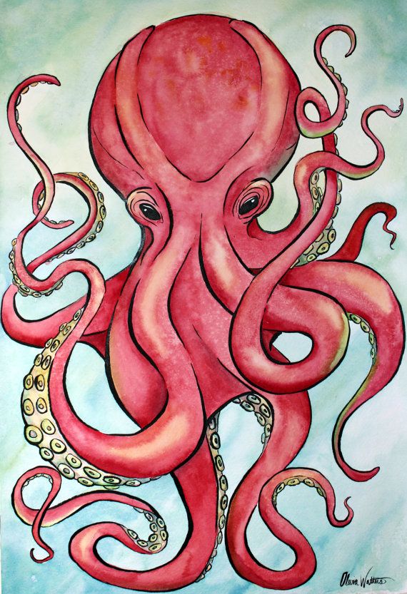 570x833 Red Octopus Watercolor Painting By Wattersedge On Etsy J Is