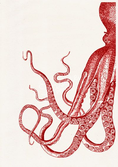 400x566 Vintage Red Octopus N 22