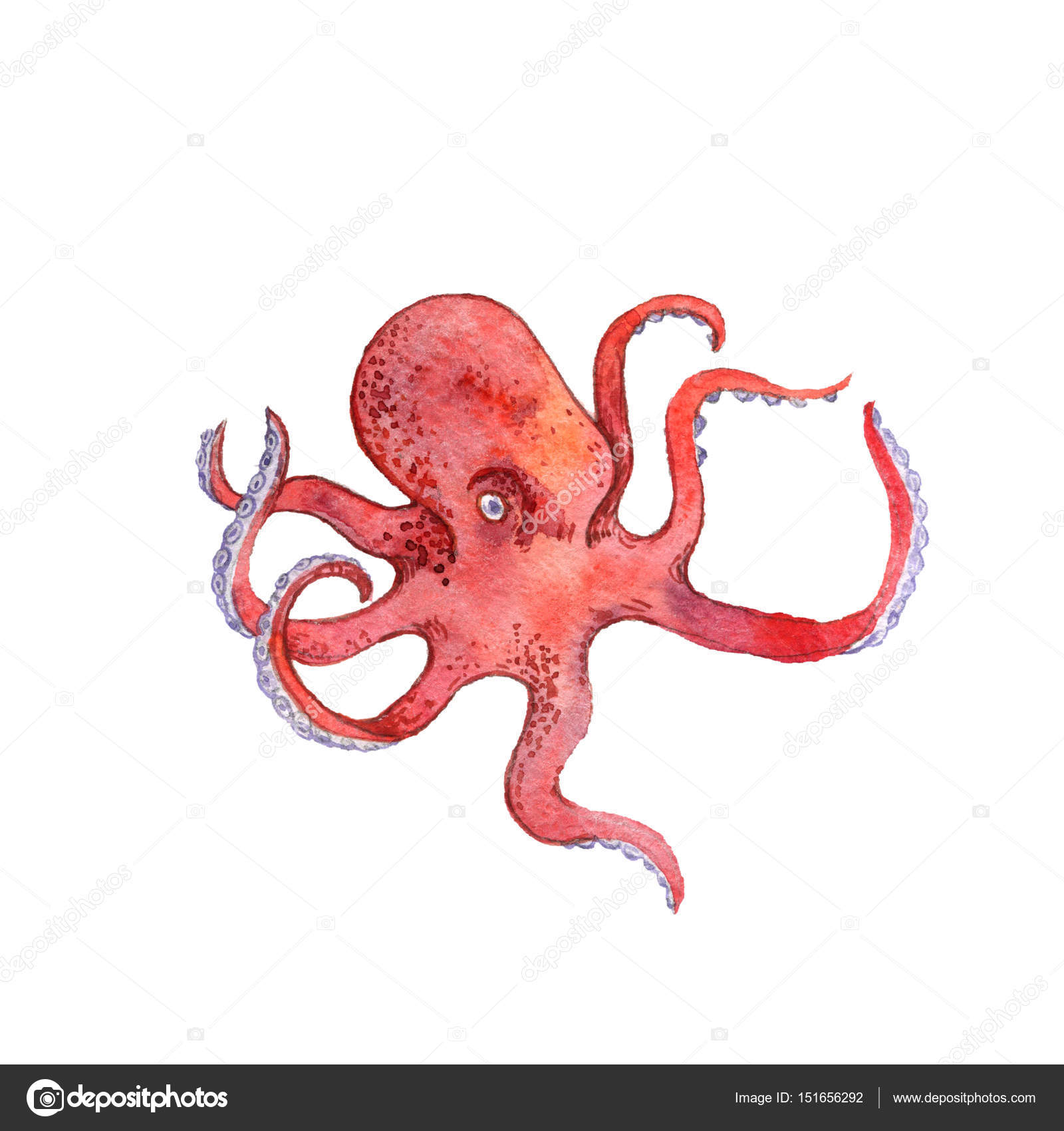 Red Octopus Drawing at GetDrawings | Free download