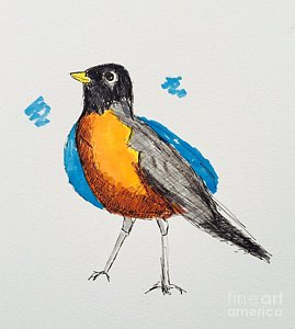 269x300 Red Robin Drawings Fine Art America