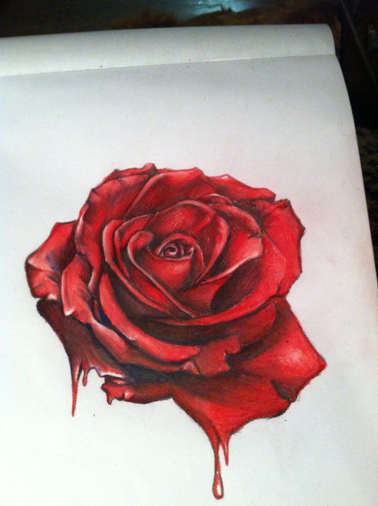 772x1034 Hyper Surrealistic Rose By On @