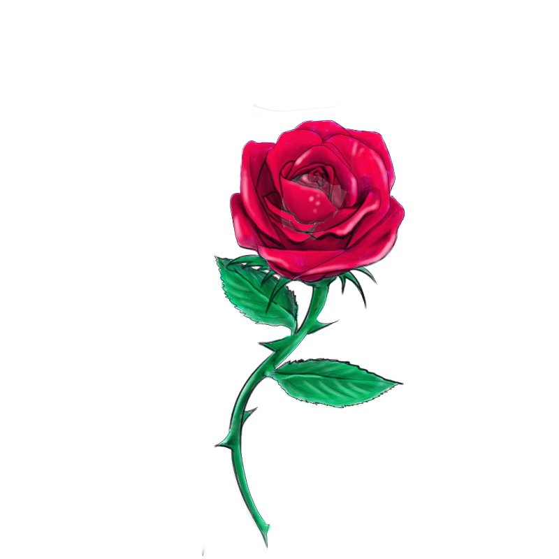 800x800 Red Rose By Daelyth Tatouage Rose