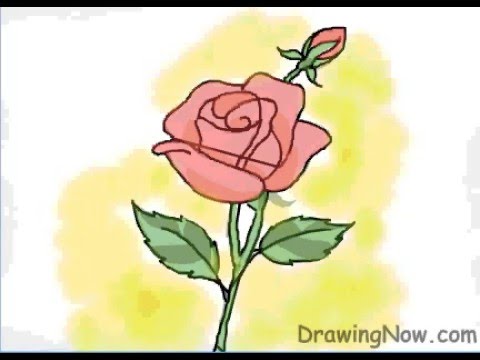 480x360 How To Draw A Red Rose
