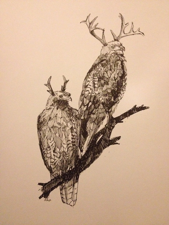 570x760 Antlered Red Tail Hawk Original Pen Drawing By Alexandraloesser