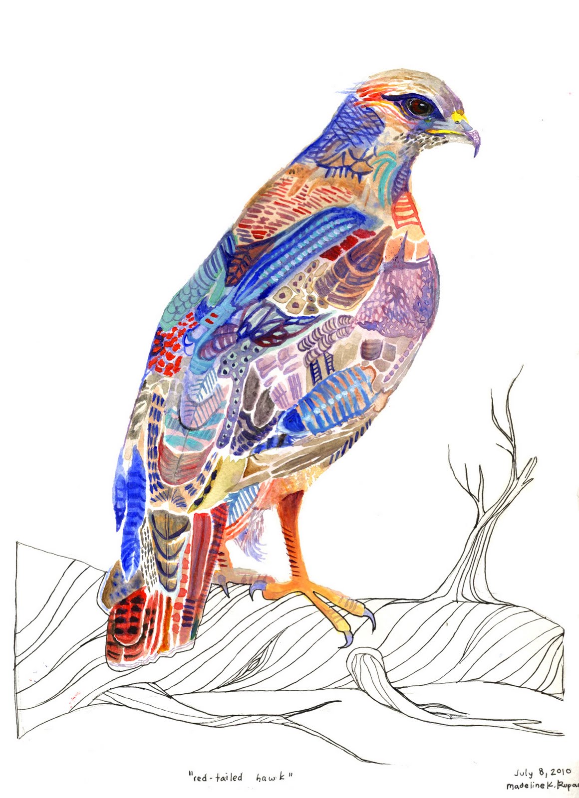 1160x1600 I Did Not Draw This Red Tailed Hawk