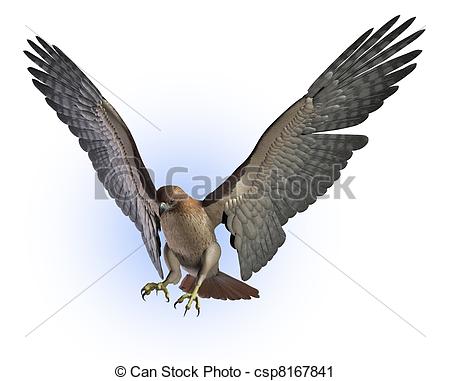 450x381 Red Tailed Hawk Getting Ready To Land