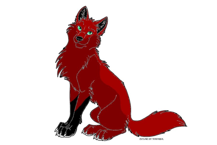 Red Wolf Drawing at GetDrawings | Free download