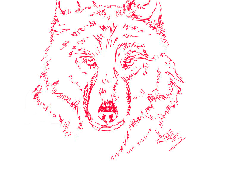 800x600 Red Wolf An Animals Speedpaint Drawing By Jmbs77