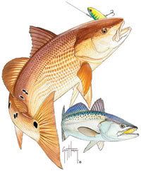 200x241 78 Best Fishwildlife Tattoos Images On Tattoo Ideas