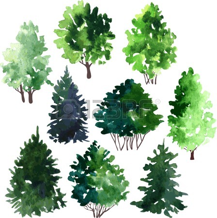 448x450 317 Redwood Tree Stock Illustrations, Cliparts And Royalty Free