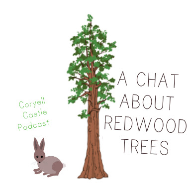 380x380 A Chat About Redwood Trees The Podcast.