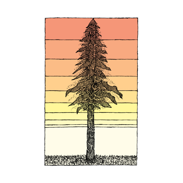 630x630 Coastal Redwood Sunset Sketch