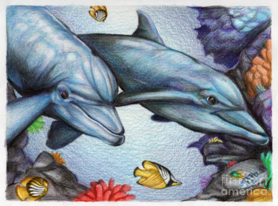 900x666 Dolphins In The Reef Drawing By Derrick Bruno Rathgeber
