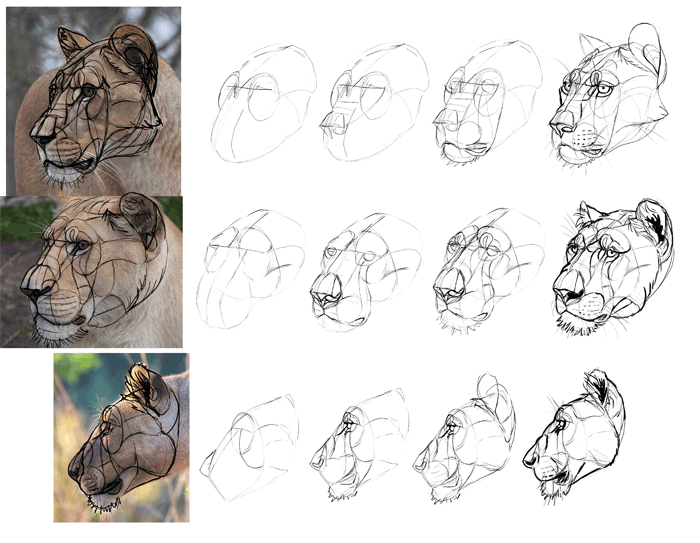 700x543 How To Draw From Imagination Beyond References