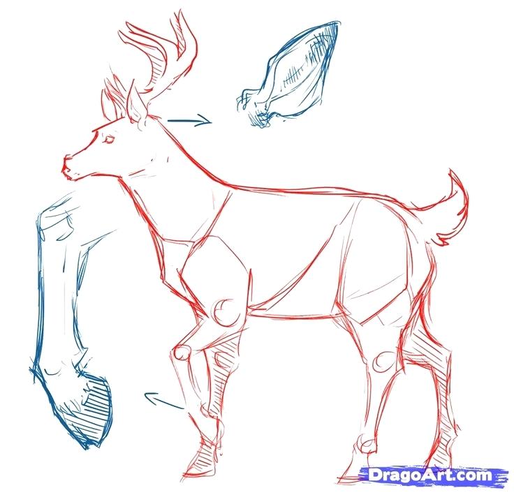 736x709 Reindeer Drawings Transasia