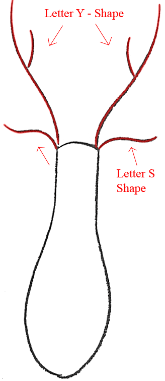 328x756 How To Draw Easy Reindeer Or Deer For Preschoolers And Kids