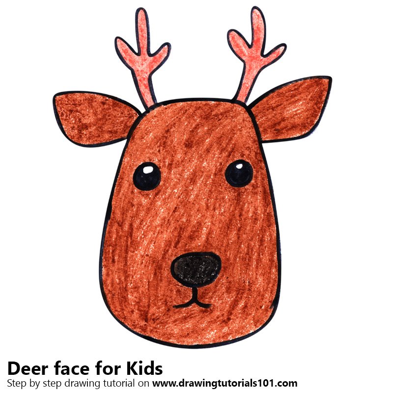 800x800 Learn How To Draw A Deer Face For Kids (Animal Faces For Kids