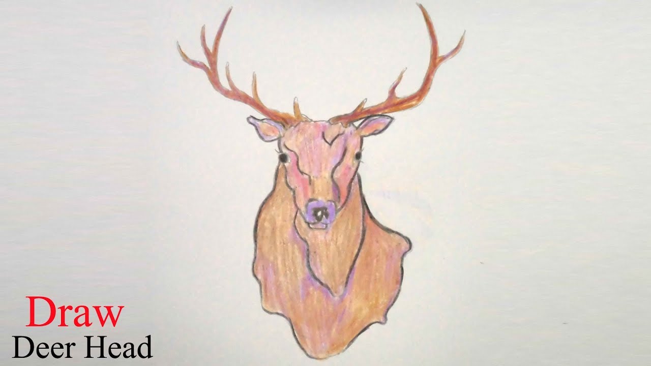 1280x720 How To Draw Deer Head Step By Step Very Easy