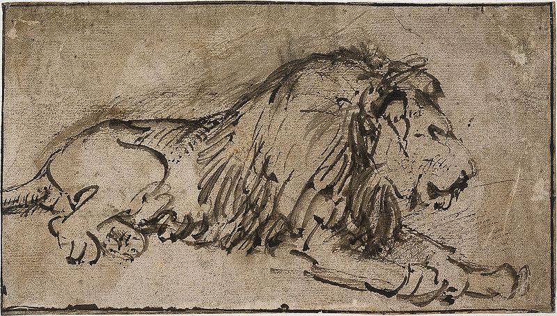 800x454 Rembrandt A Lion.jpg