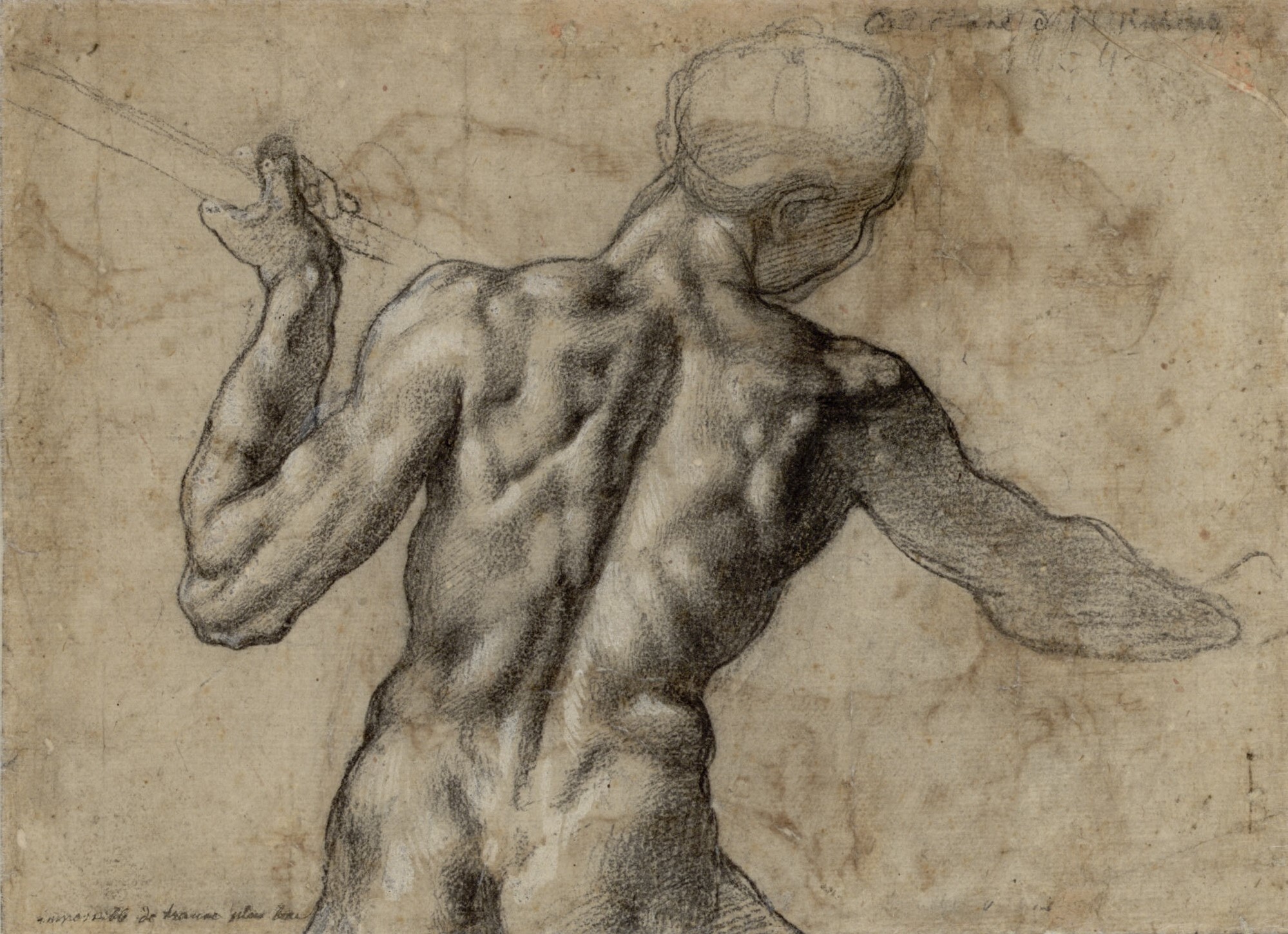 1999x1449 Michelangelo, Mit Fahnenstange, Um 1504 Albertina