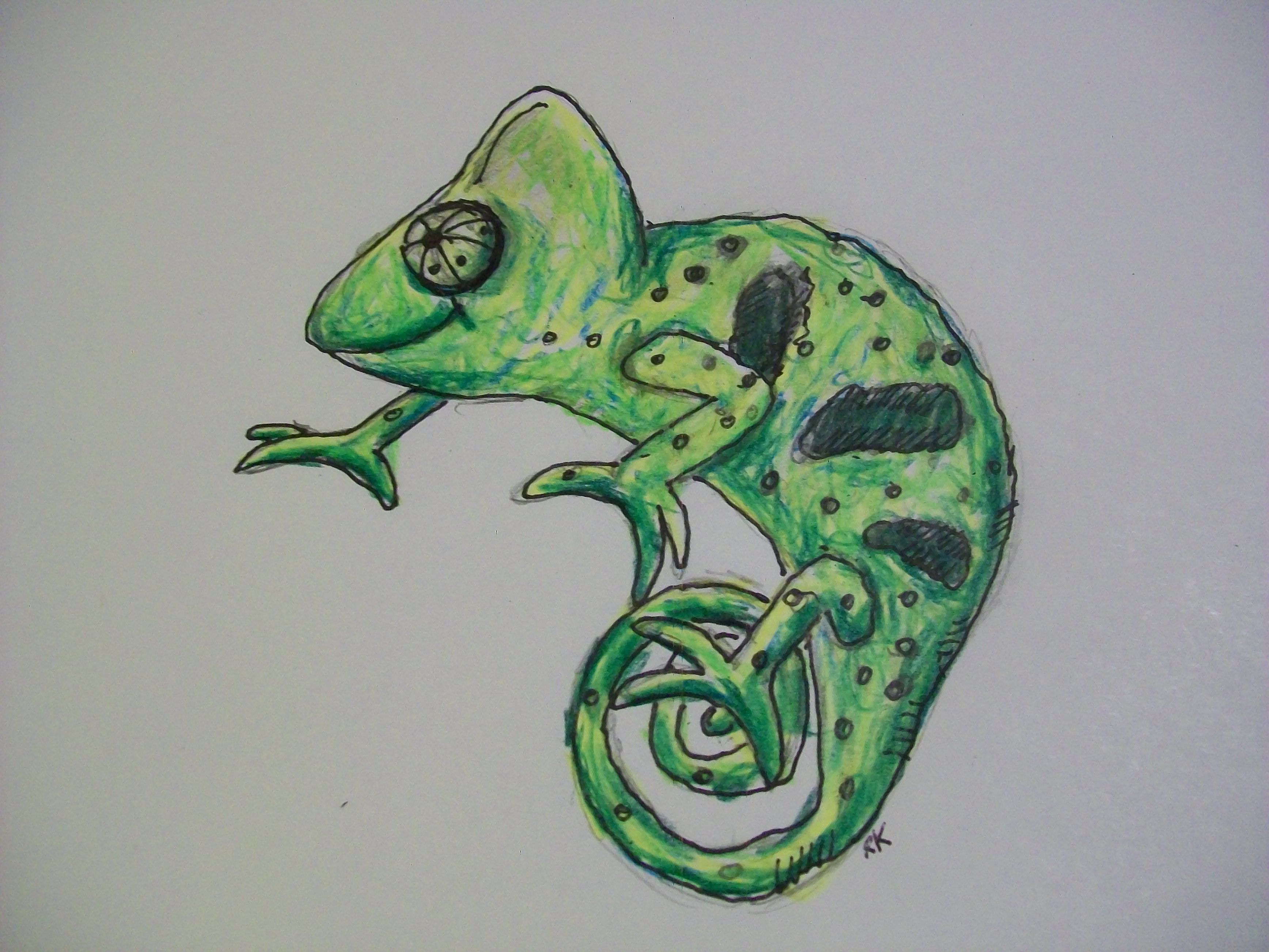 3472x2604 A Cute Reptile Drawing In Colored Pencil My Artwork