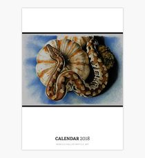 210x230 Reptiles Drawing 2018 Calendars Reptiles Drawing Wall