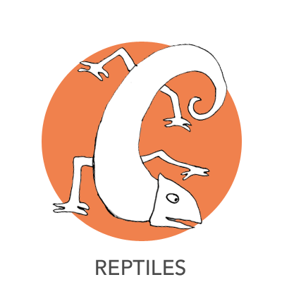 400x400 Reptiles Drawing Deep Space Sparkle