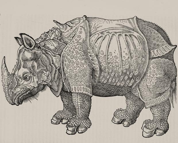 620x498 6 Animals Portrayed Incorrectly In Early Taxonomic Drawings